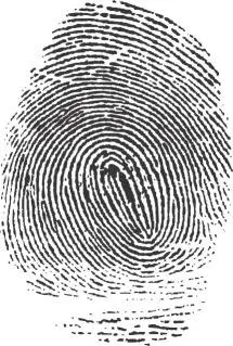 Enhancing Security: The Benefits of Fingerprinting in Screening